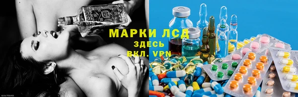 мяу мяу мука Аркадак