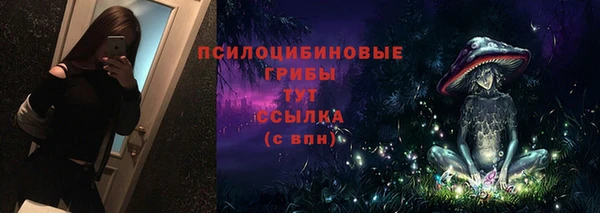 2c-b Арсеньев