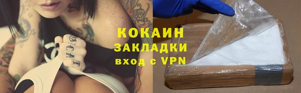 мяу мяу мука Аркадак
