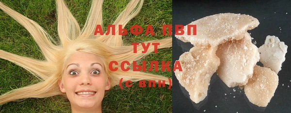 мяу мяу мука Аркадак
