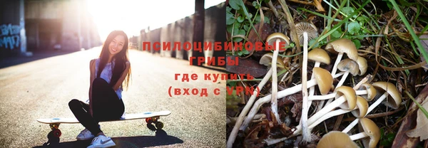 мяу мяу мука Аркадак