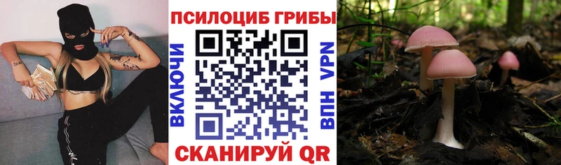 гидра как зайти продажа наркотиков Пущино Псилоцибиновые грибы ЛСД